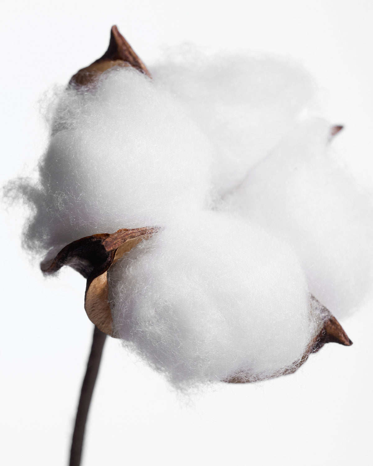 Kit Découverte Déodorant stick Fleur de Coton