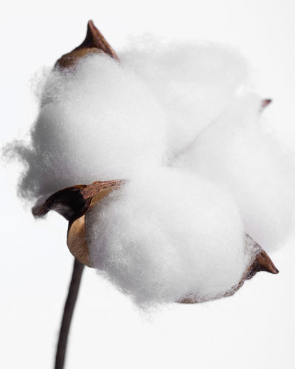 Déodorant stick Fleur de Coton